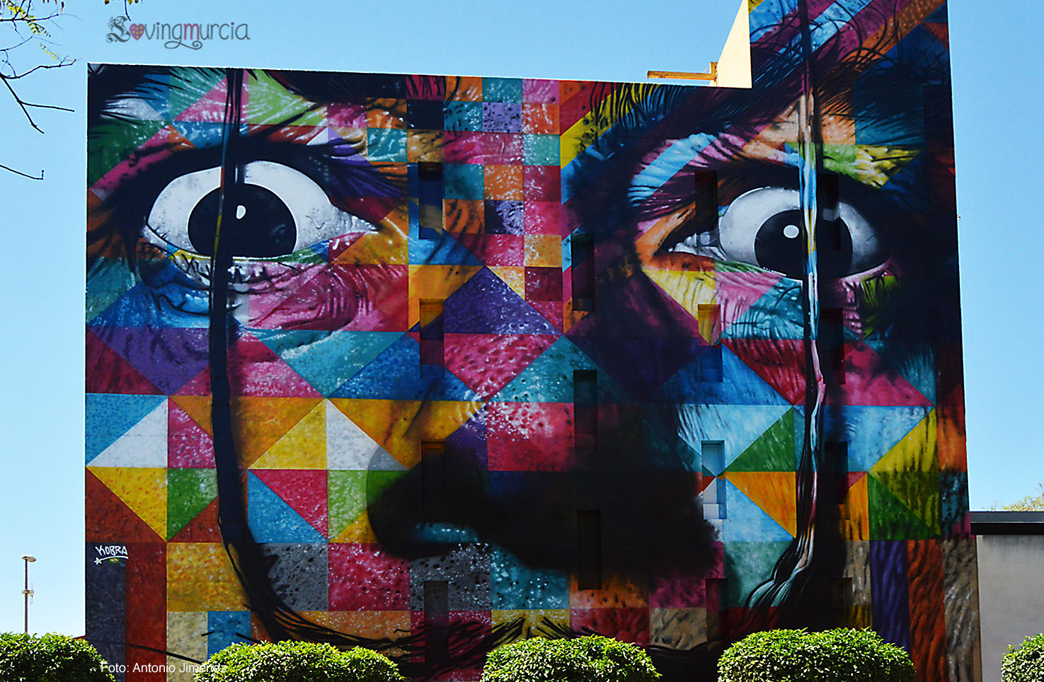 MURAL-KOBRA.jpg