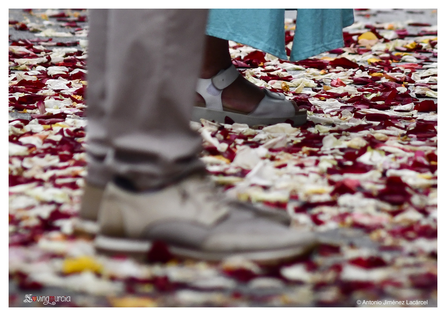 romeria04.jpg